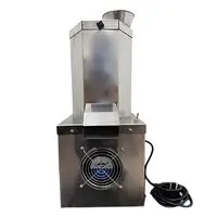 AUTOMATIC SS GARLIC PEELER MACHINE, 1 HP