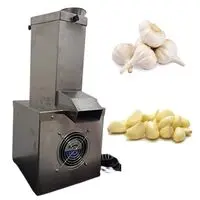 AUTOMATIC SS GARLIC PEELER MACHINE, 1 HP