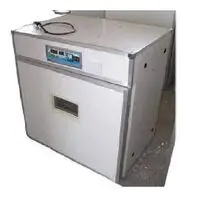 100 CAPACITY METAL BODY INCUBATOR