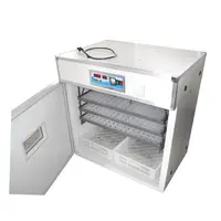 100 CAPACITY METAL BODY INCUBATOR