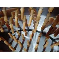 5 BIRDS CHICKEN FEATHER CLEANING MACHINE WITH 1 HP MOTOR