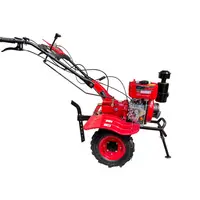DOUBLE WOLF DIESEL POWER WEEDER 173F