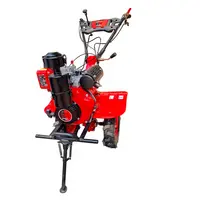 DOUBLE WOLF DIESEL POWER WEEDER 173F