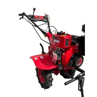 DOUBLE WOLF DIESEL POWER WEEDER 173F