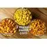 SWEET CORN MACHINE, 3 BOWLS, 2000 W